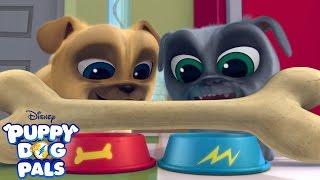 Theme Song | Puppy Dog Pals | Disney Junior