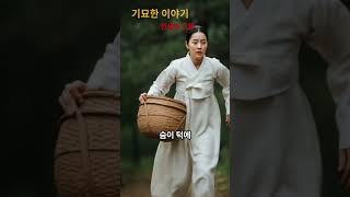 [전설의 고향] 충남 서산 무학대사의 일화