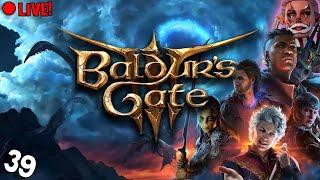 how to train your dragon sequel but it's baldur's gate 3 (ACT 3!) [39]