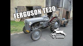 FORD FERGUSON TE 20 / 1948 / IFAHASE