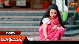 Moodu Mullu- Promo | 24 Dec 2024  | Telugu Serial | Gemini TV