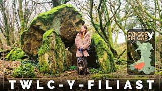 Neolithic Wales - History & Folklore of Twlc Y Filiast