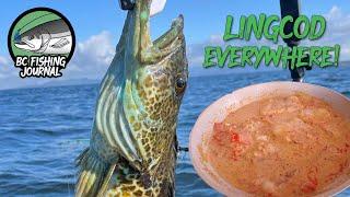 Lingcod Catch & Cook - DELICIOUS Creamy Tomato Lingcod Recipe