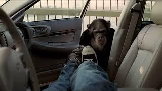 Suburban Auto Group “Trunk Monkey” - Bridge (2003, USA) (4K 60FPS Upscale)