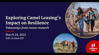 WEBINAR | Exploring Camel Leasing's Impact on Resilience