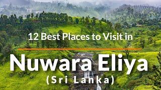 12 Top Things to Do in Nuwara Eliya | Travel Videos | SKY Travel