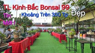 TIN MỚI ! BẤT NGỜ không gian TL KINH BẮC Bonsai 99 QUÁ ĐẸP - Quy mô khoảng hơn 300 TP .