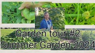 Growing Groceries in my backyard/2024 Summer Garden tour #2