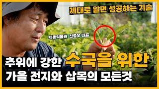 추위에 강한 수국을 위한 가을 전지와 삽목의 모든것! 튼튼한 수국 만드는 방법? 제대로 알면 성공하는 기술 알려드립니다. #수국 #가을수국  / 세종식물원