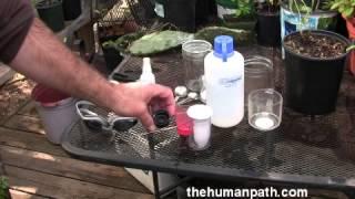 How to make and use an herbal eye wash at home & in the field