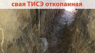 Свая ТИСЭ откопанная