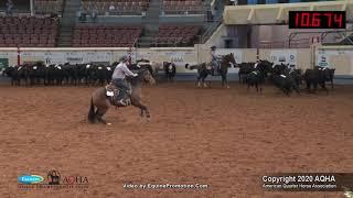 2020 AQHA Amateur Team Penning