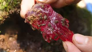 Treasure hunt in the wilderness,colored crystals are gifts from nature, citrine,red crystal,amethyst