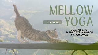 Deep Stretch Mellow Yoga | Rebecca Peters Wellness