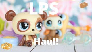 Haul From The Littlest Pet Shop Stop!