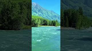 This is Kashmir Valley Heaven of Earth  #kashmir #kashmirvalley #kashmirtourism #travelxpwithmanish