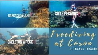 Freedive Coron (Ultimate Bucket list )| Barracuda lake, Siete Pecados, Skeleton Wreck + Banul beach