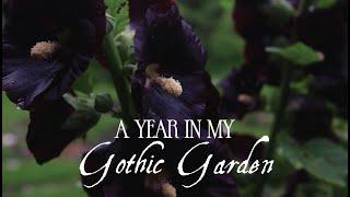 A Year In My Gothic Garden 