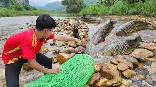 The boy Lam arranged rocks to set a fish trap in a big stream and luckily caught many big fish.