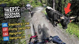 BIKEPARK LEOGANG 2023 alle leichten MTB Strecken | Steinberg Line, Hangman 1 & 2,  Flying Gangster