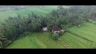 Ubud Yoga House