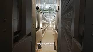 Revolutionize Your Poultry Farm with Demeter Chicken Cage's 50,000pcs Layer Chicken Cage Solution!