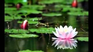 Meditation Healing Music: Stress Busting - Relaxing Sounds, New Age