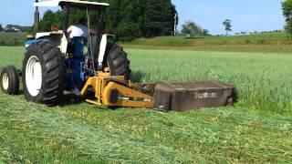 Ford 6610 mowing hay with Vermeer 5040 disc mower