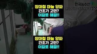 [한국농수산TV] 장마철 마늘 양파 건조고민? 차압식 건조기로 고민 해결