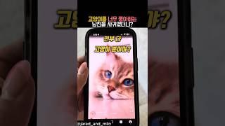 남친이 고양이를 너무 좋아하면 일어나는 일 #유머 #동물 #고양이