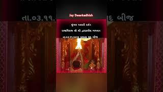 Dwarkadish srungar Aarti - 03.11.2024 #dwarikanath #dwarkadhish #dwarika #dwarka #dwarkesh #shorts