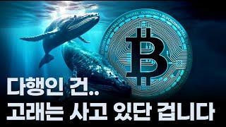 전쟁에도 비트코인 꽤 괜찮습니다/다만 새로운 매수세 없다는 점은 좀 걸립니다/다행인 건 고래는 사고 있다는 점!