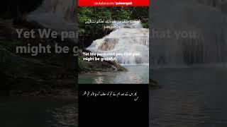 Surah Al-Baqarah - سُورَة البقرة | verse 50, 51, 52, 53 | #shorts #quran