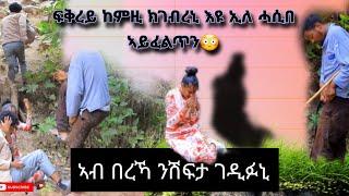 ኣሌክስ ኣይፈልጣን ኢሉ ክሒዱኒ ገዲፉኒ ሃዲሙ