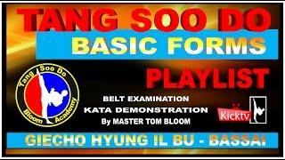 Tang Soo Do GIECHO HYUNG SAHM BU Basic Form #3