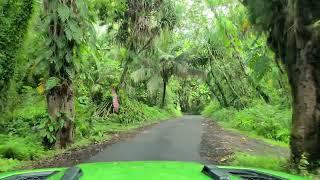 Hawaii Jungle Drive May 16, 2024