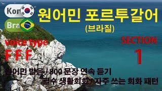 포르투갈어 회화 / Type F F F [Section 1] 원어민 발음 / 짧고 쉬운 800문장 연속 듣기