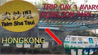 Hong Kong Trip Day 1// Aviary Kowloon Park //hiking adventure vlog UPDATED