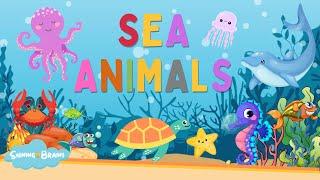 Sea Animals | Learn sea animals names in English | Kids vocabulary | English Educational Video