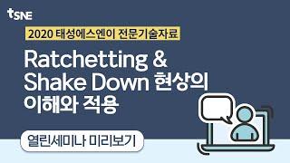 [태성에스엔이 2020 열린세미나] Ratchetting & Shake Down 현상의 이해와 적용