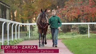 Aga Khan Stud at Arqana December