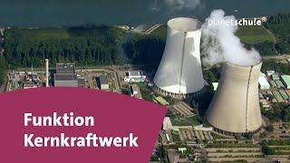 Wie funktioniert ein Kernkraftwerk? - Frage trifft Antwort | planet schule