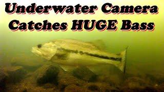 Underwater Camera Catches HUGE Bass & Other Fish in Mill Creek Reservoir Spillway Saline Louisiana