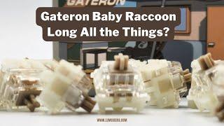 Long Pole, Long Spring, Long Name... | Gateron Baby Raccoon Long Pole switch Review