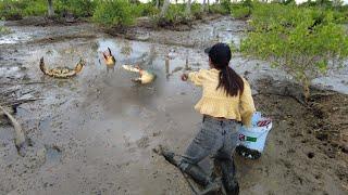 Catching MONSTER Mud Crabs by Hand | No Fear Challenge!