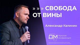 Свобода от вины | Александр Калинин | Достигая максимума