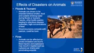 Veterinary Emergency Response Teams: #horseemergency