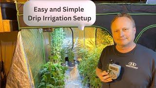 Easy and Simple Drip Irrigation System for Indoor Gardens