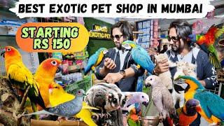 Exotic pet shop in Mumbai | Birds | Cats Macaw & More | Wajid Exotic Pet Shop Mumbai