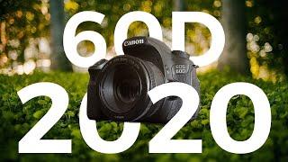 Canon 60D in 2020